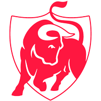 Belgiska Ligan – Conference League Gruppen